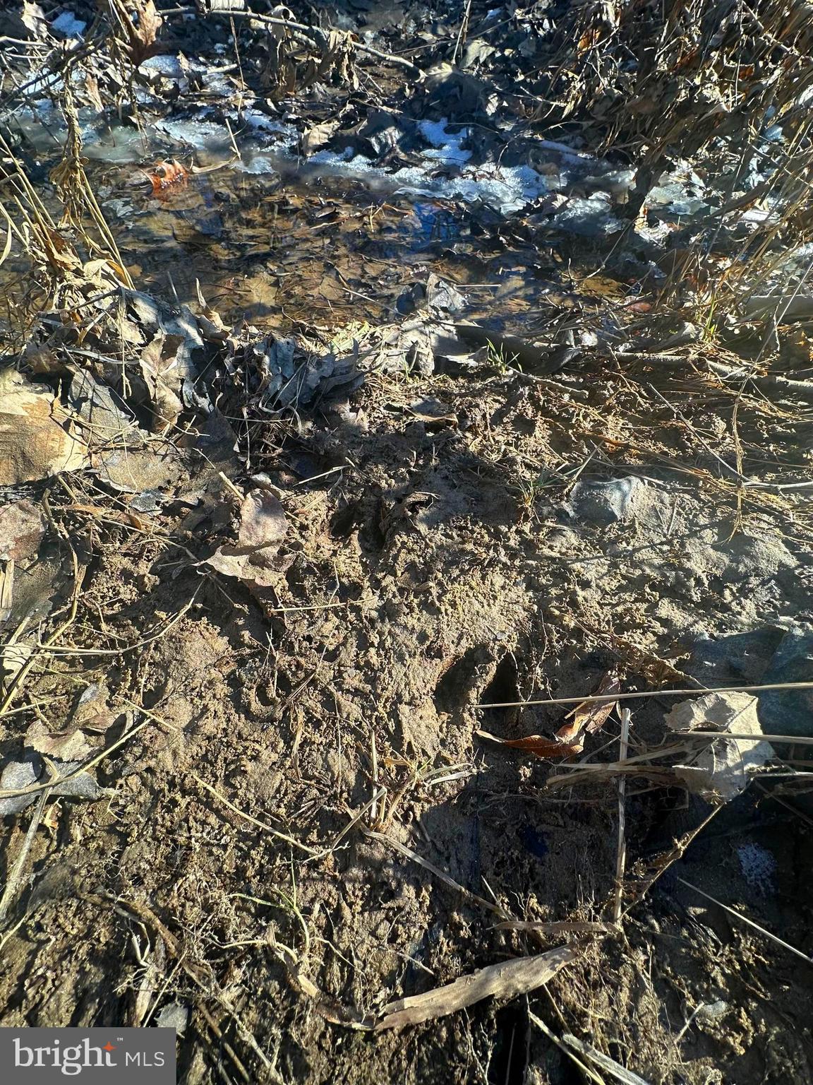 RIVER WOOD - Residential