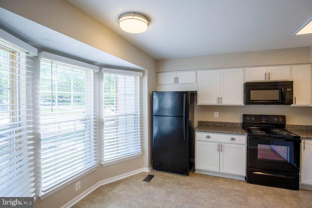 344 HONEY LOCUST COURT