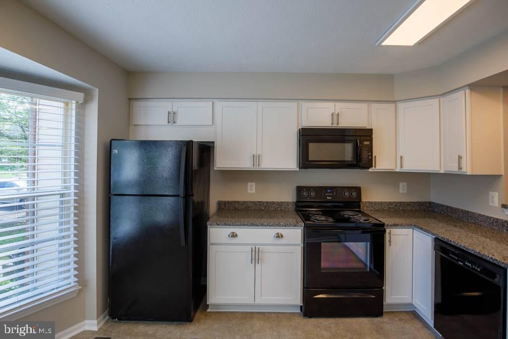 344 HONEY LOCUST COURT