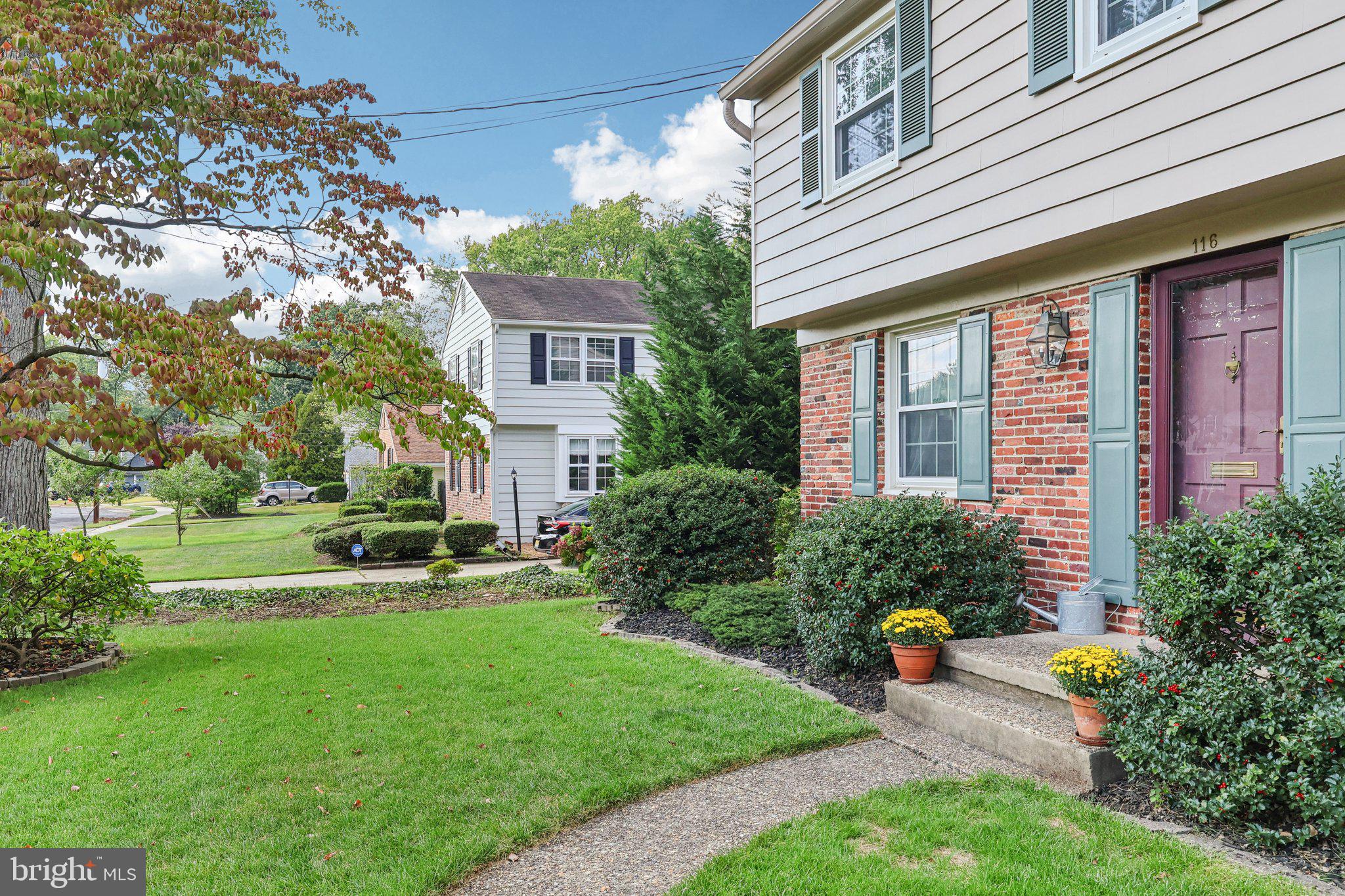 116 SPLIT RAIL DRIVE