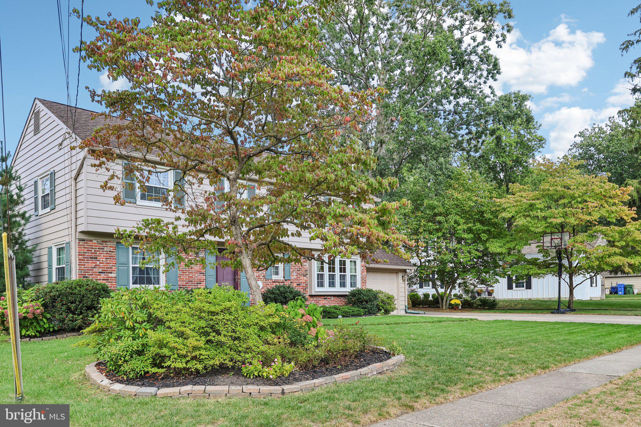 116 SPLIT RAIL DRIVE