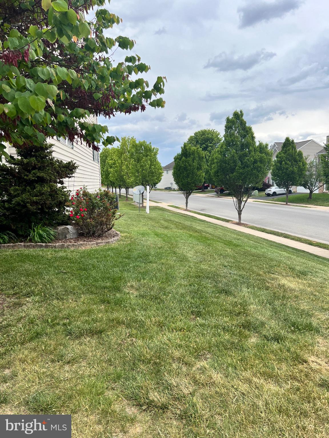 SHENANDOAH SPRINGS - Residential