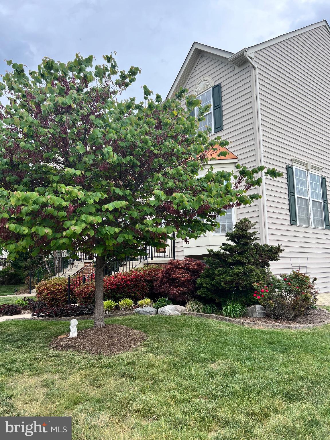 SHENANDOAH SPRINGS - Residential
