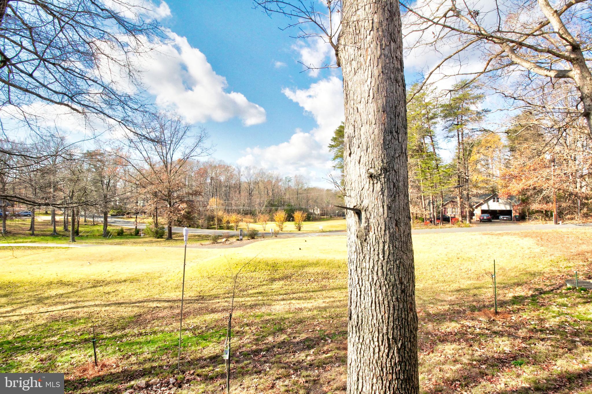 LAKE OF THE WOODS - Residential