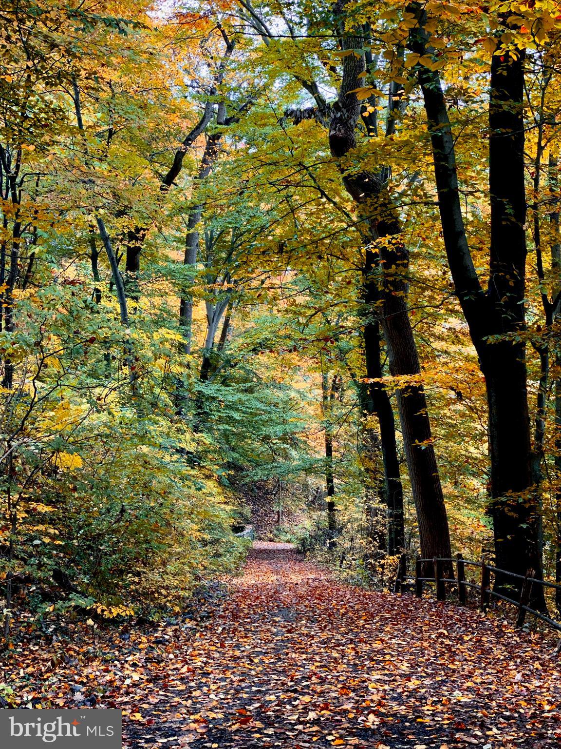 ROXBOROUGH - Residential