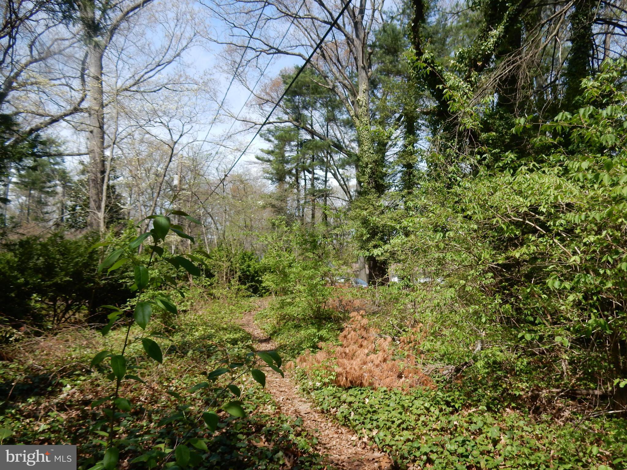 CAPE ARTHUR - Residential