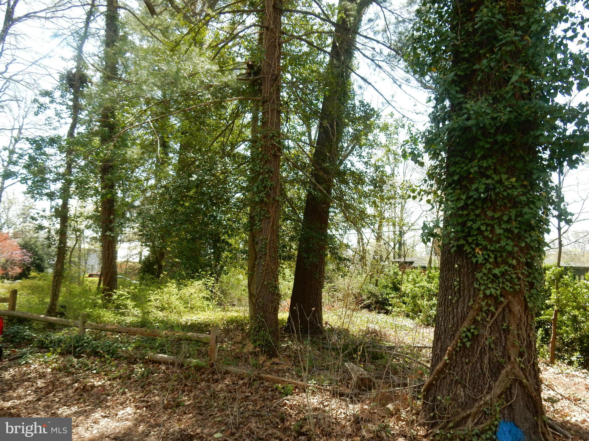 CAPE ARTHUR - Residential