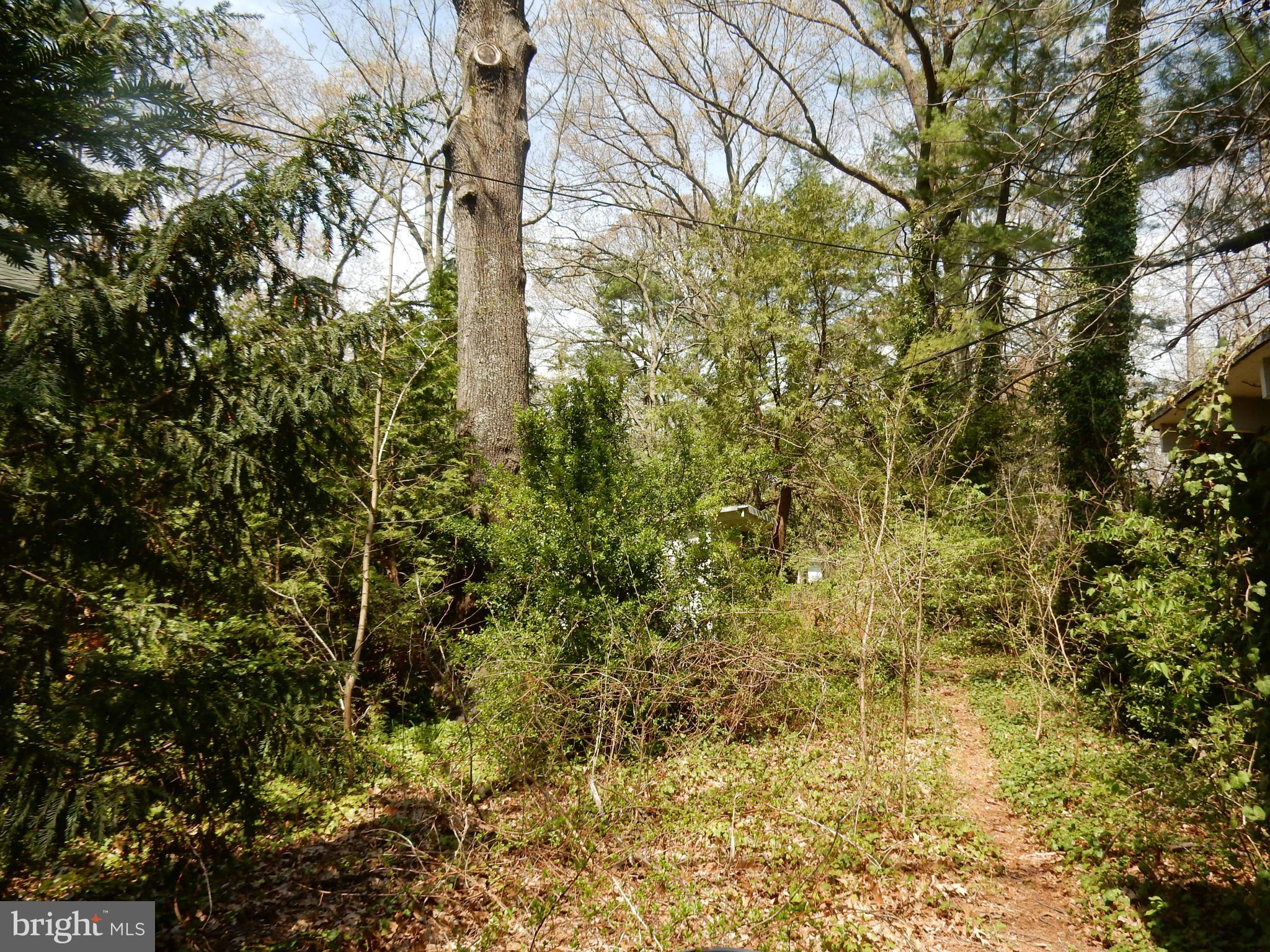 CAPE ARTHUR - Residential