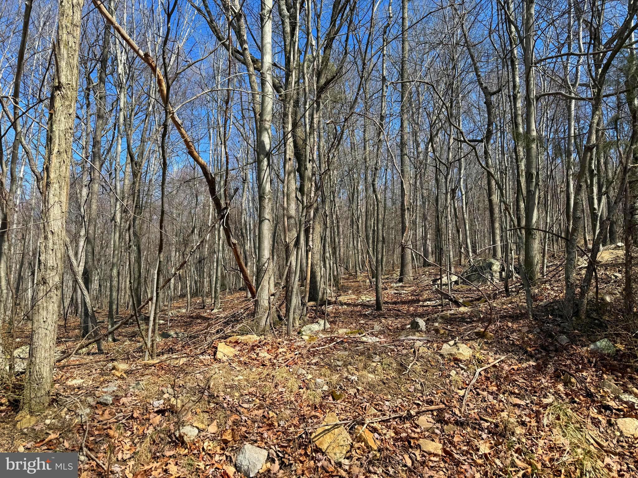 NATHANIEL MOUNTAIN HEIGHTS - Land