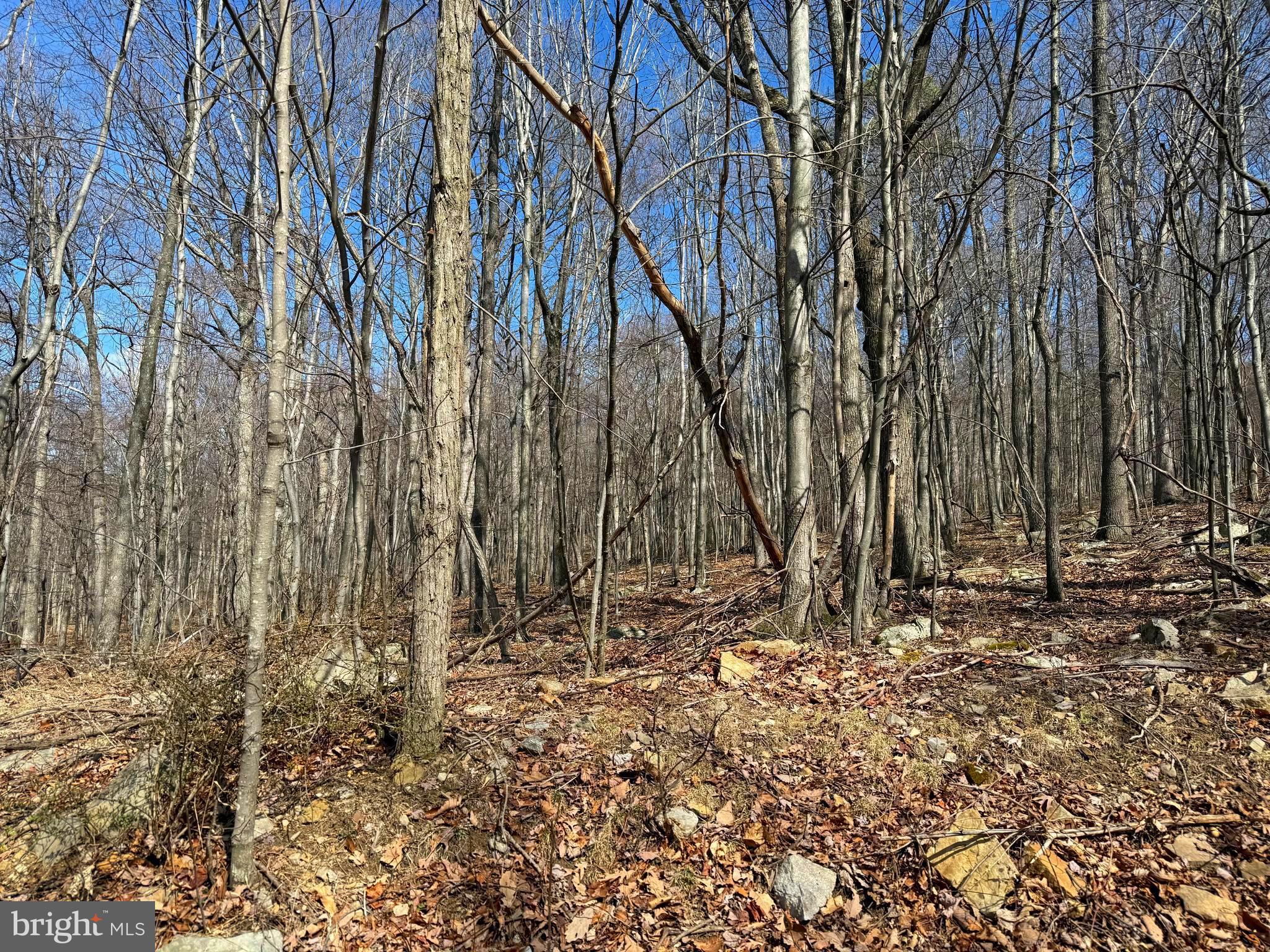 NATHANIEL MOUNTAIN HEIGHTS - Land