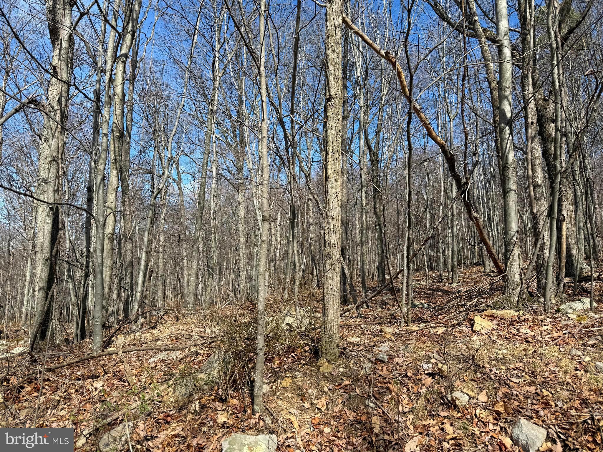 NATHANIEL MOUNTAIN HEIGHTS - Land
