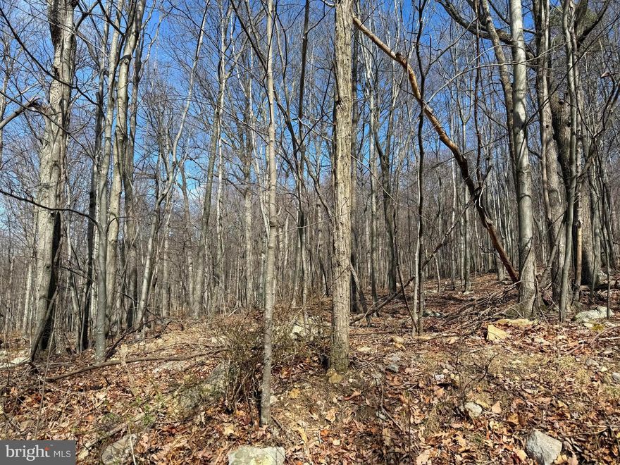 A great opportunity to purchase a little over 2 acres in Nathaniel Mountain Heights. You will feel like you are driving to the top of the world, but it is just a little over half of a mile from the main road. The lot makes for a great build site for your forever home, weekend get-away or camp. You can set up camp and take advantage of the easy 1.1 mile commute to the Nathaniel Mountain Wildlife Management Area. Nathaniel Mountain WMA offers over 10,000 acres of hunting, fishing, hiking and outdoor exploration of the beautiful, mountainous terrains of West Virginia. This property is convenient to the town of Romney where you can shop at locally owned shops, dine and enjoy the local flavors, take the Potomac Eagle Scenic Railroad for a picturesque ride through the valley while spotting eagles, or venture down to the South Branch Potomac River to float or fish. Plenty of recreational activities just down the road, all while enjoying the peace and privacy this property offers. It is just an hour's drive from I-81 in Winchester, VA or I-68 in Cumberland, MD, and only a 2-hour drive from Washington, DC and Dulles Airport.