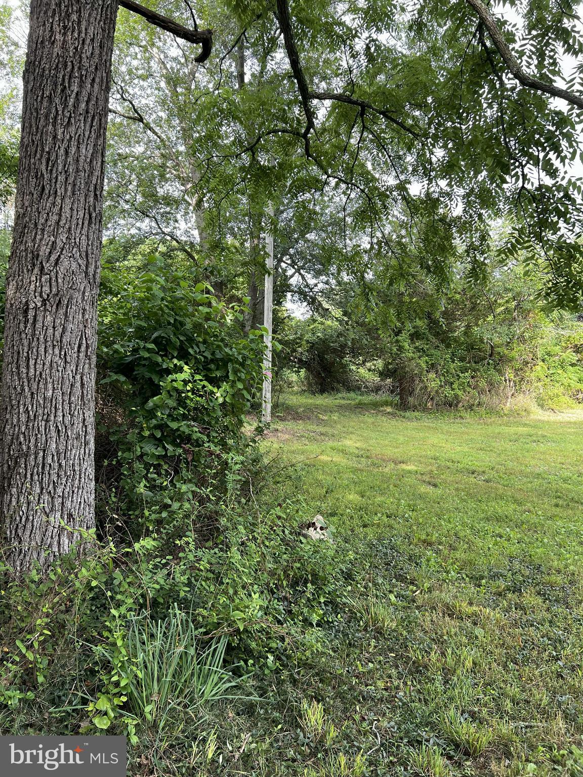 3296 CEDARVILLE ROAD