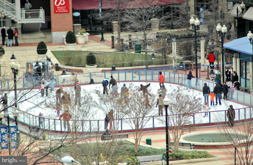 THE REPRESENTATIVE - Residential Lease