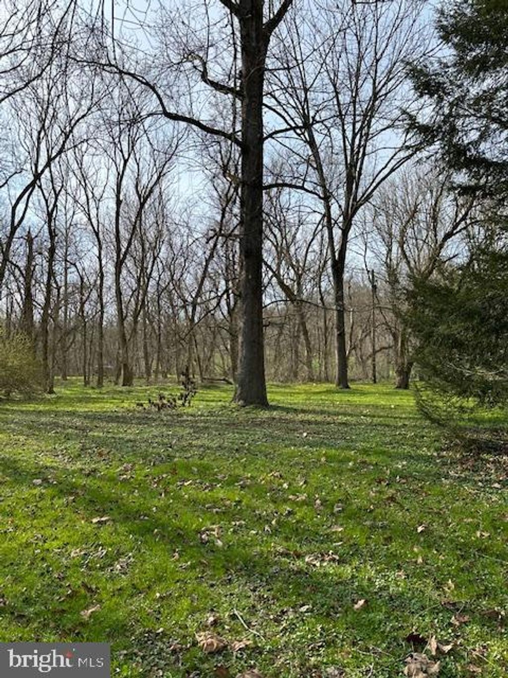 Photo of 0 River Road, Pequea, PA 17565 (MLS # PALA2048802)