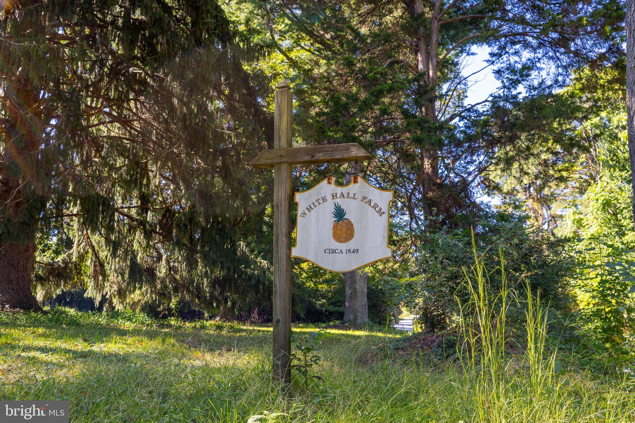 14434 WASHINGTON MILL ROAD