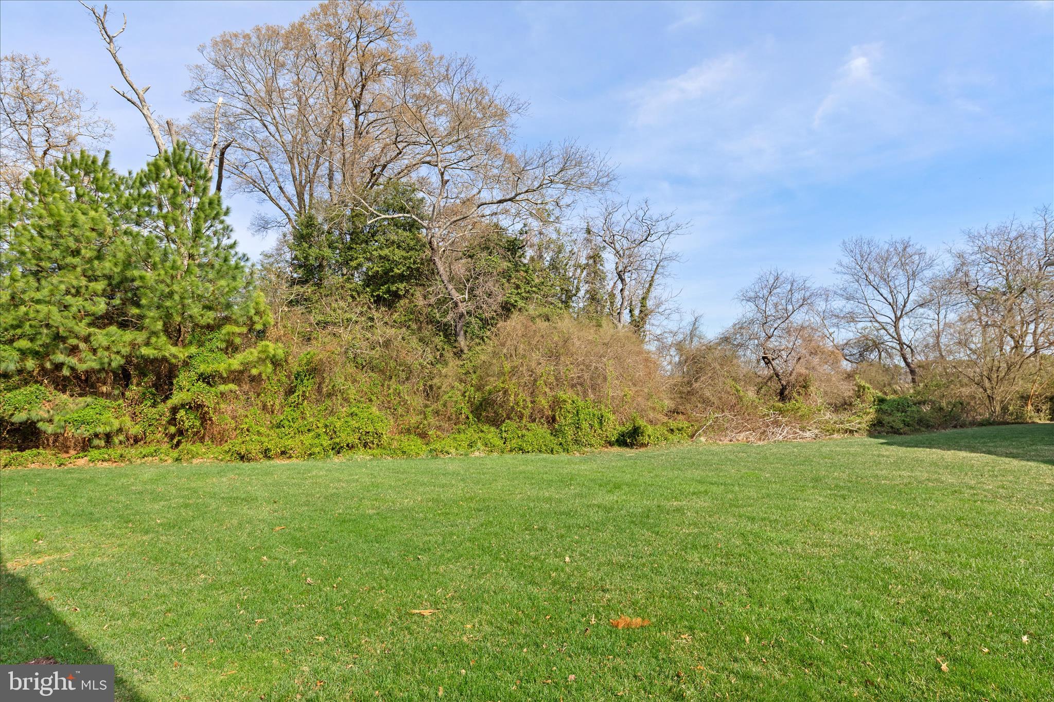 WOODS COVE - Residential