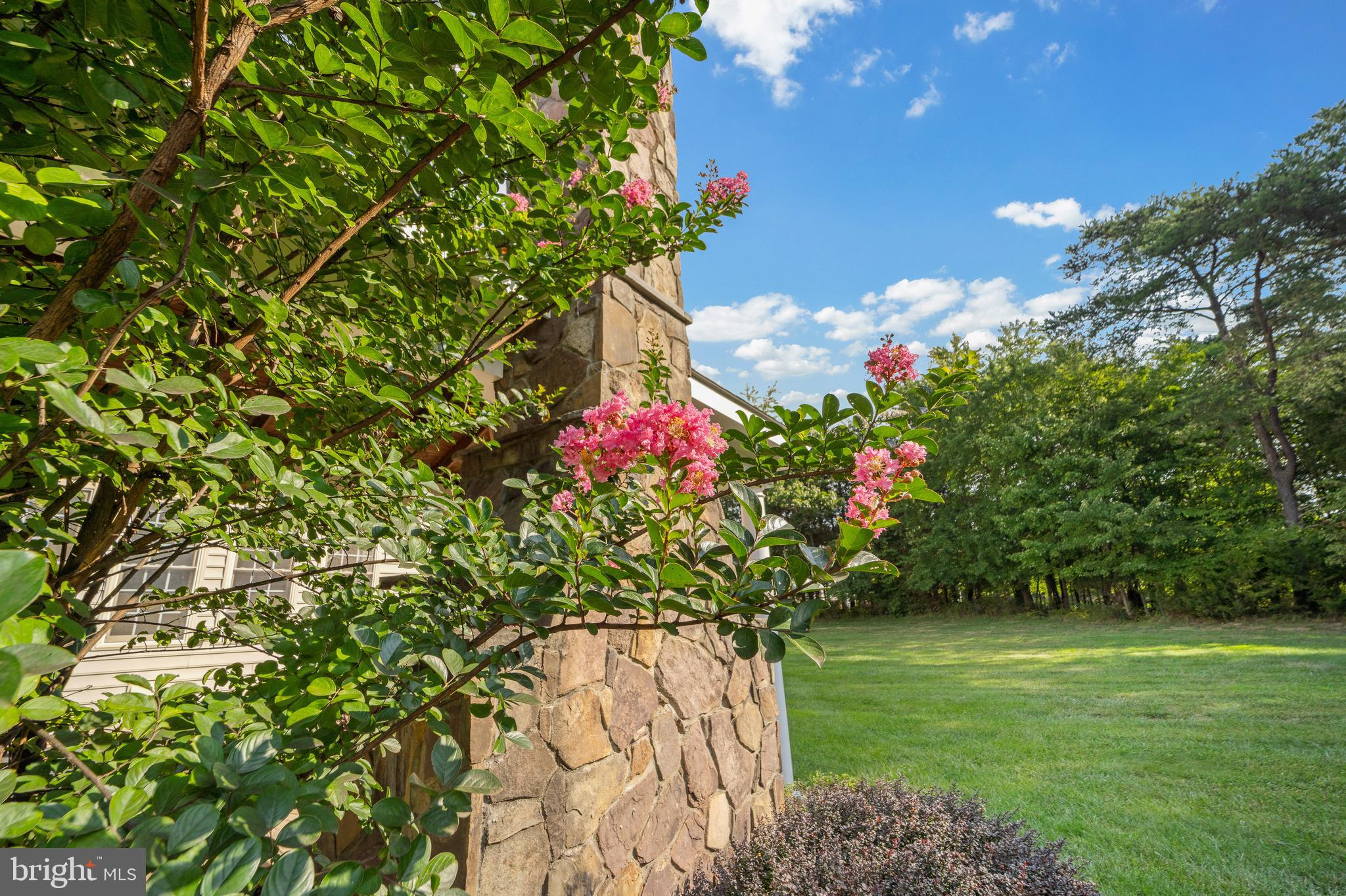 CEDAR CREST - Residential Lease