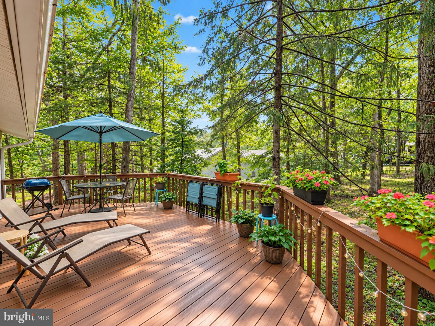 222 CREEKSIDE DRIVE