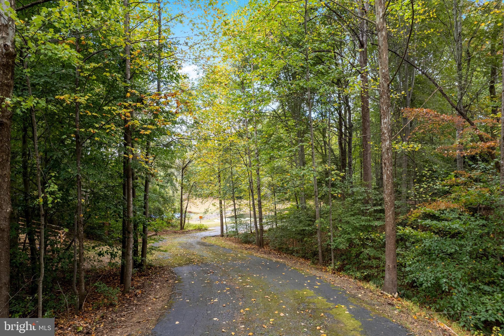 SPRING LAKE ESTATES - Residential