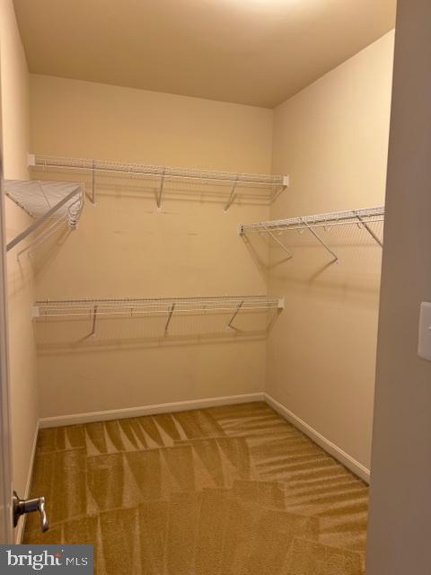 WILDEWOOD - Residential Lease