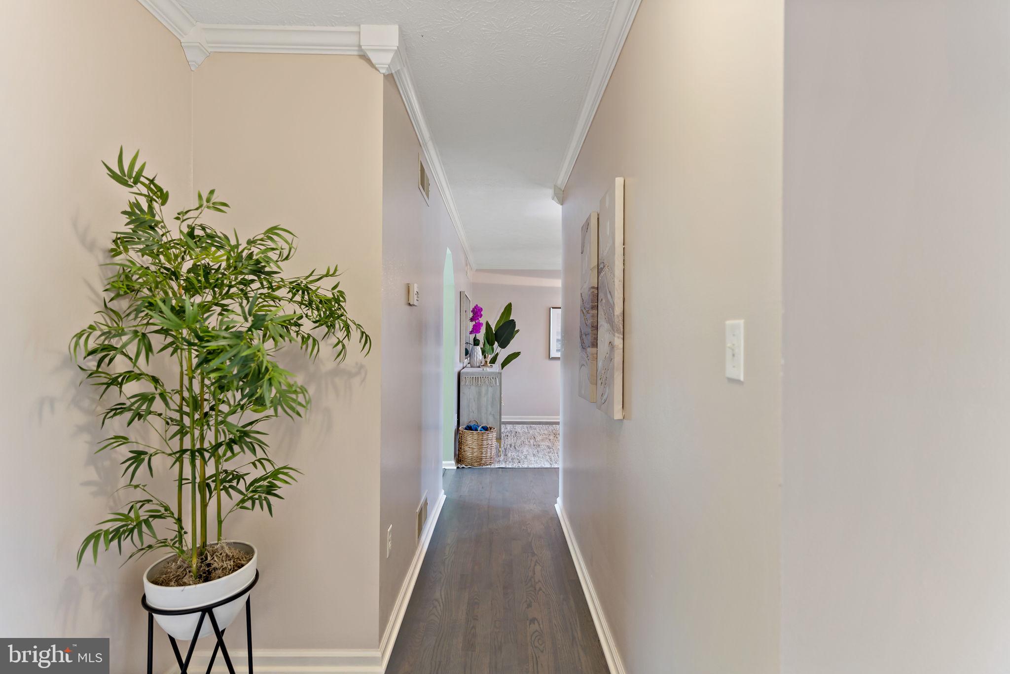 OPEQUON MEADOWS - Residential