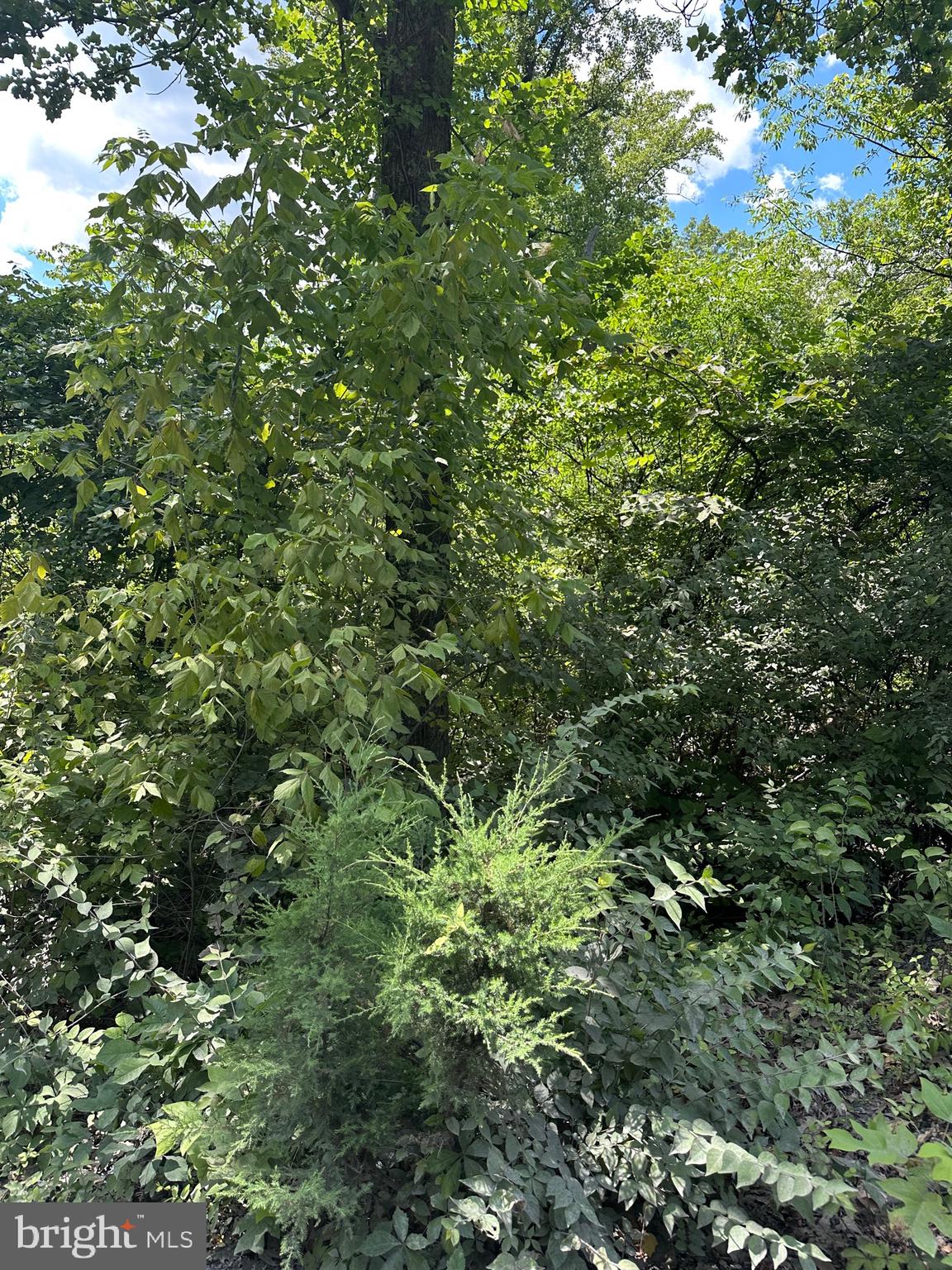 2Lots; 463, 462 REID DRIVE