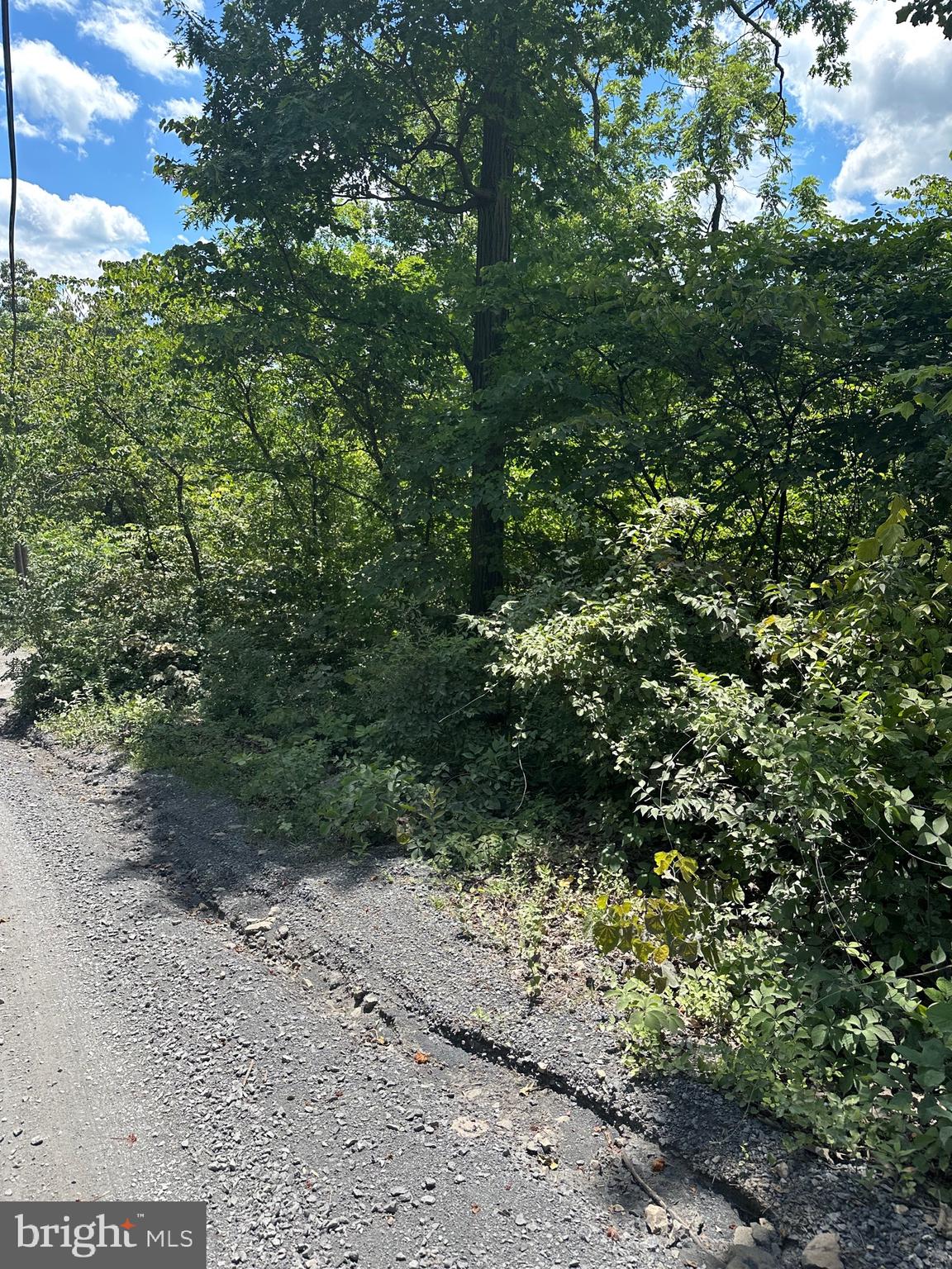 2Lots; 463, 462 REID DRIVE
