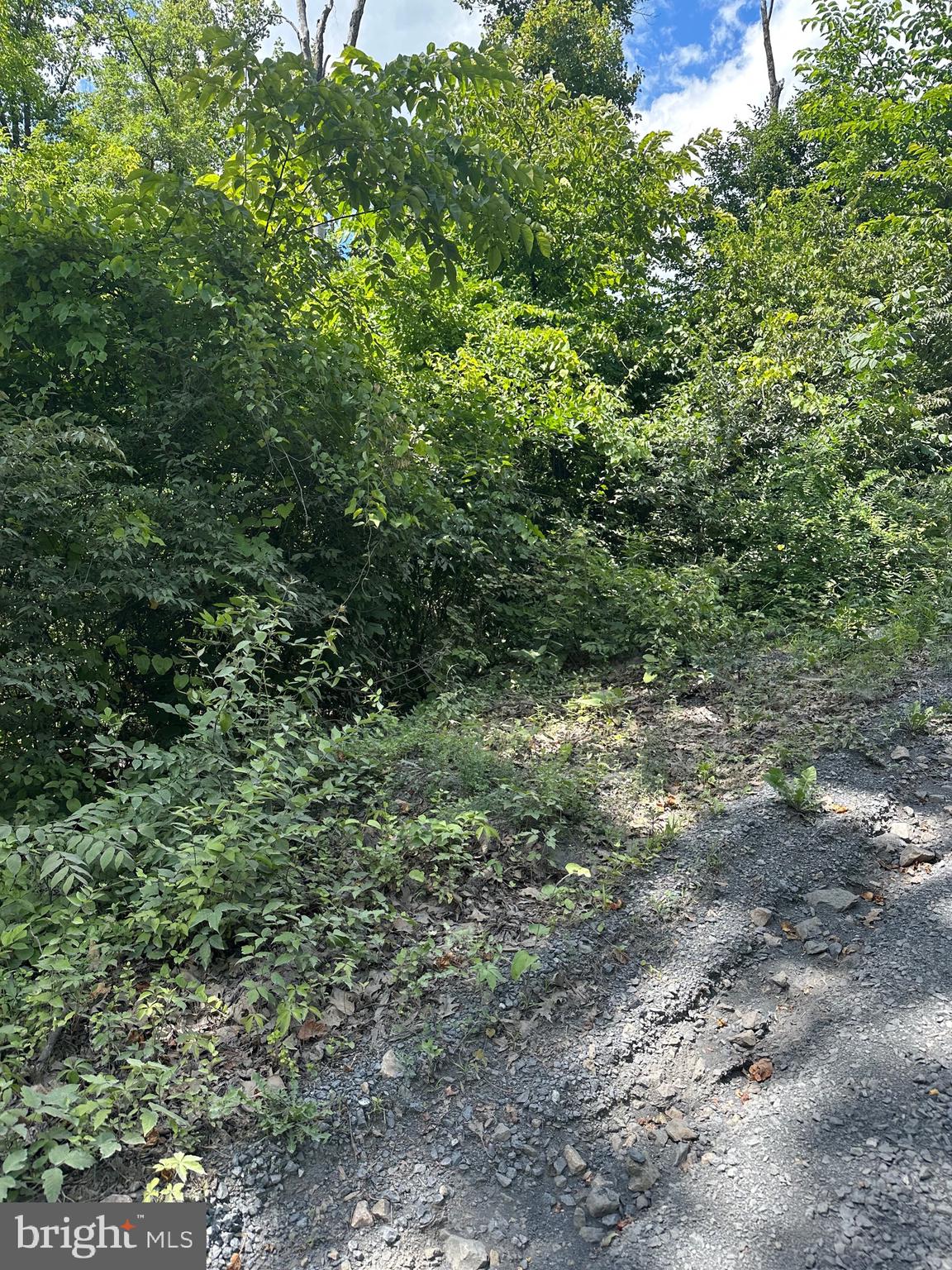 2Lots; 463, 462 REID DRIVE