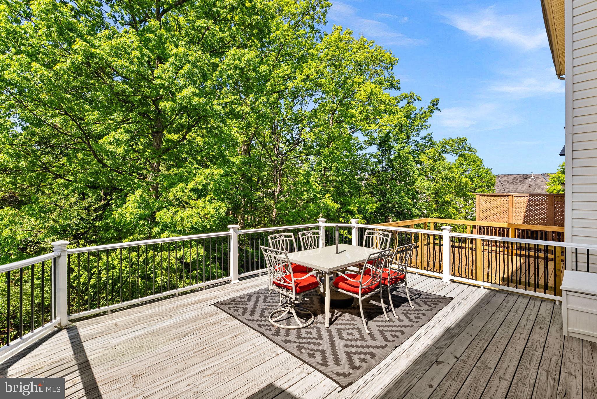 POTOMAC STATION - Residential