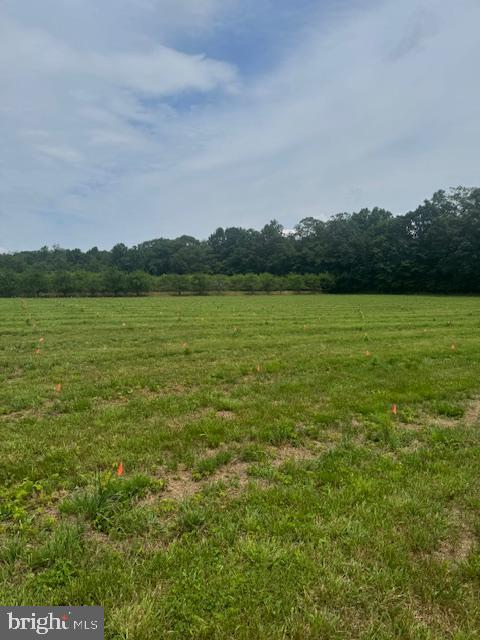 Lot #11 COLD SPRINGS RD