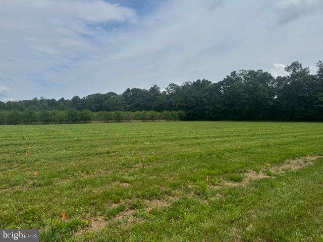 Lot #11 COLD SPRINGS RD