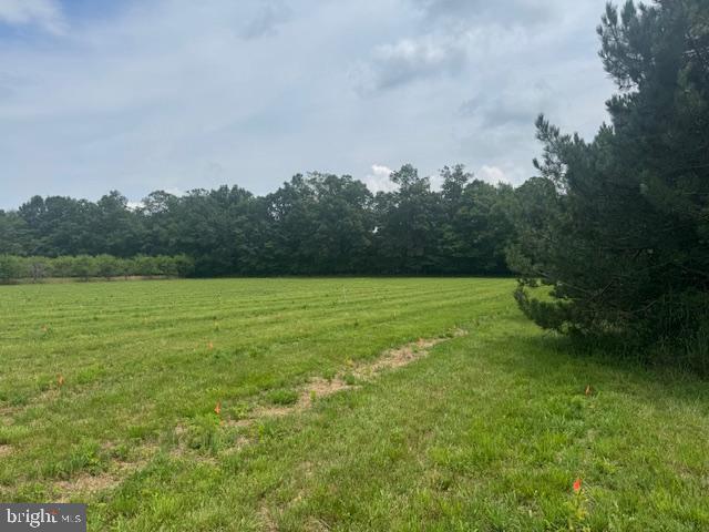 Lot #11 COLD SPRINGS RD