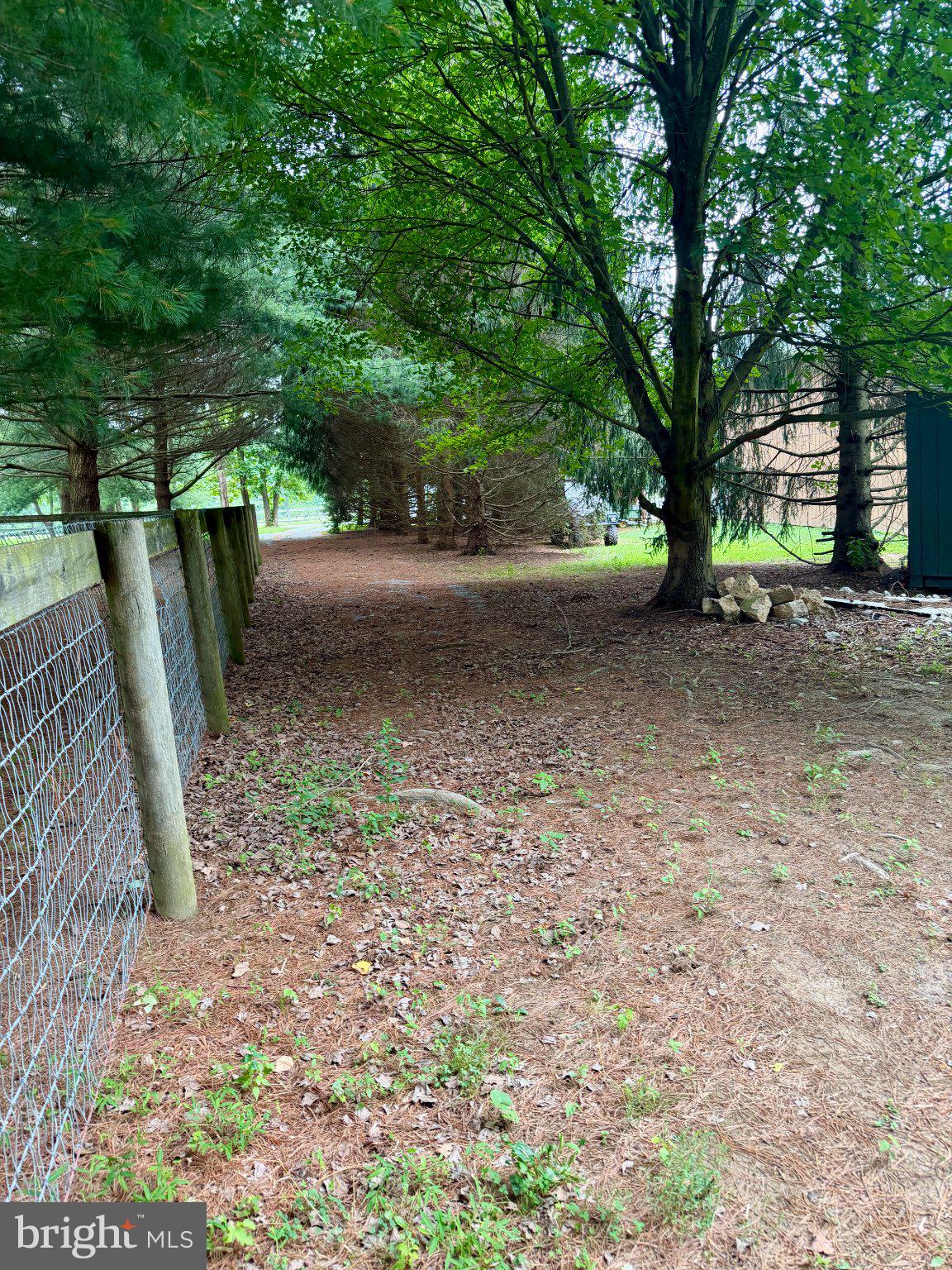 239 FELL ROAD A