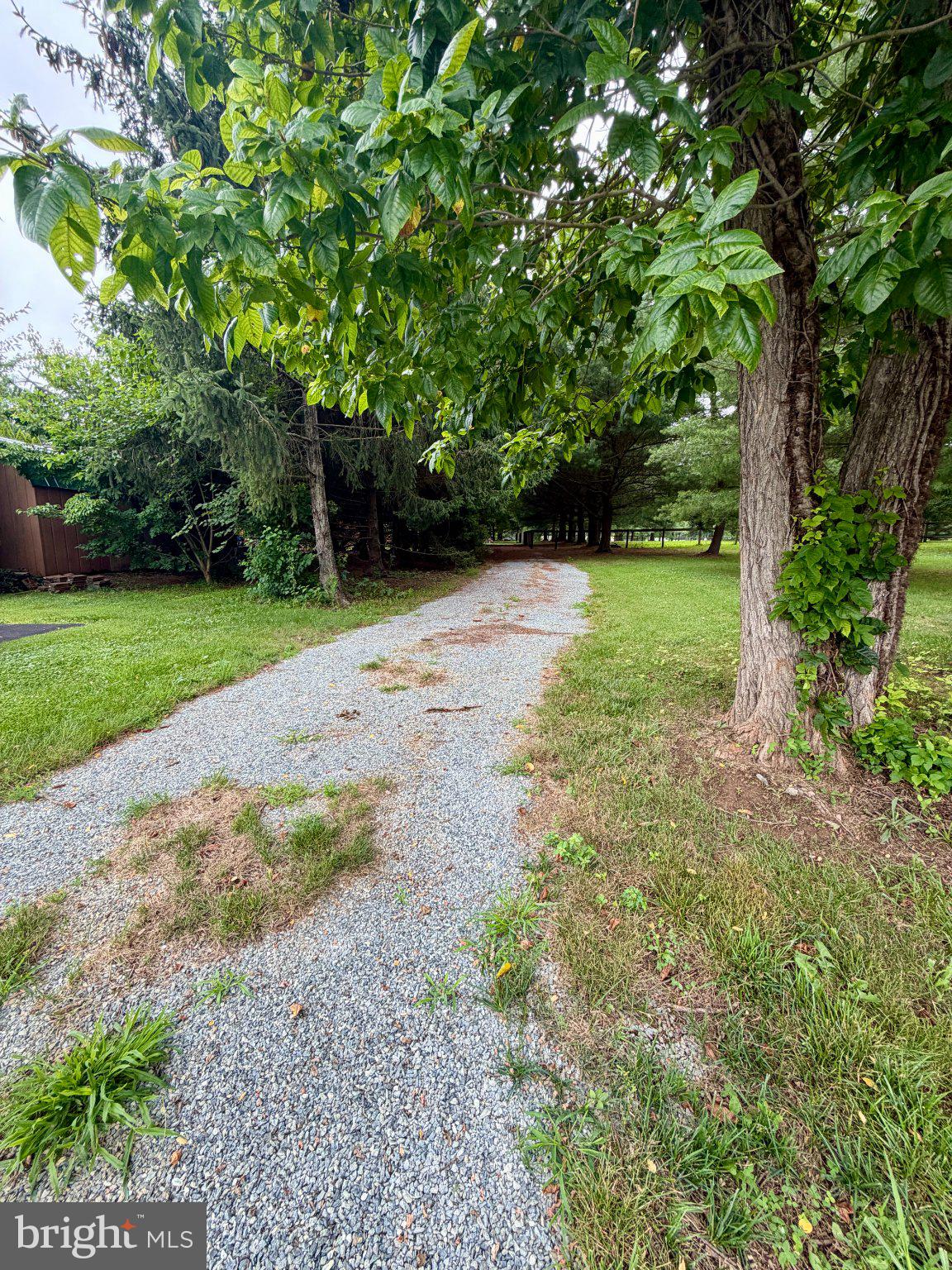 239 FELL ROAD A