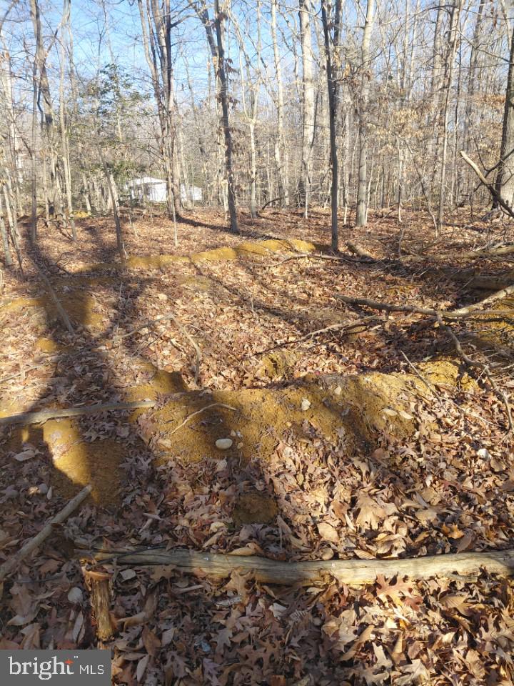 ANNAPOLIS WOODS - Land