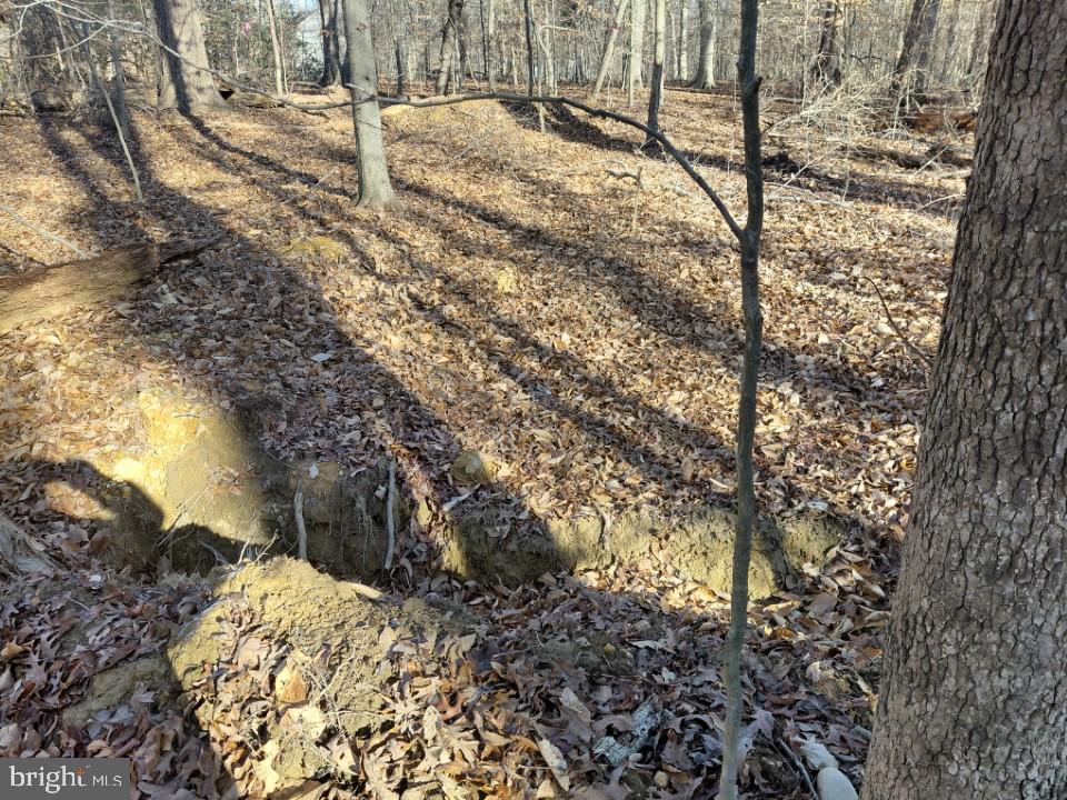 ANNAPOLIS WOODS - Land