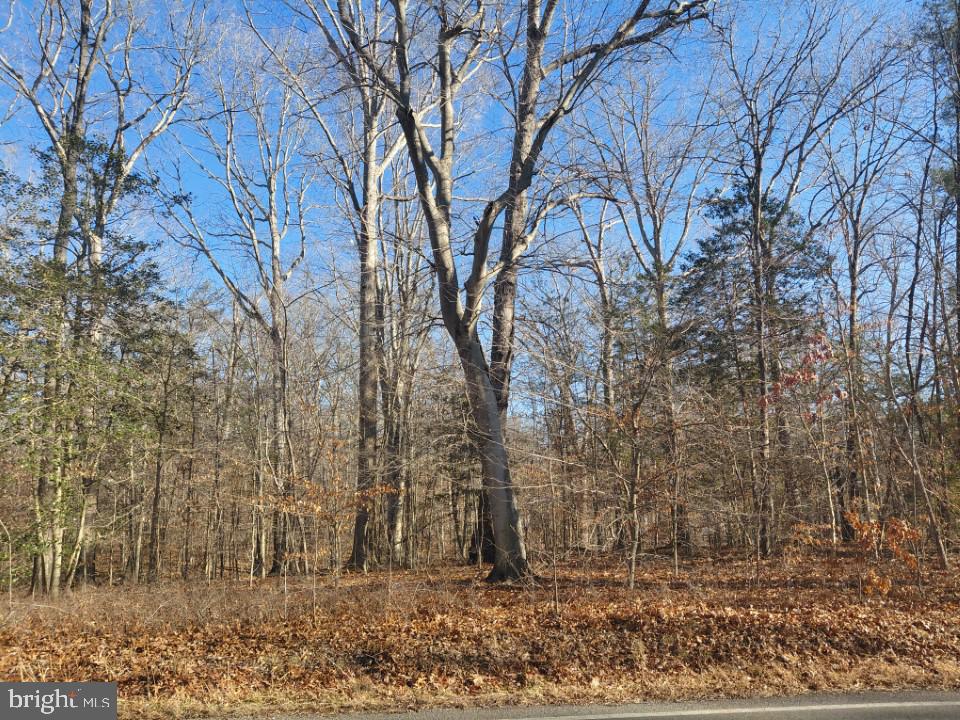 ANNAPOLIS WOODS - Land