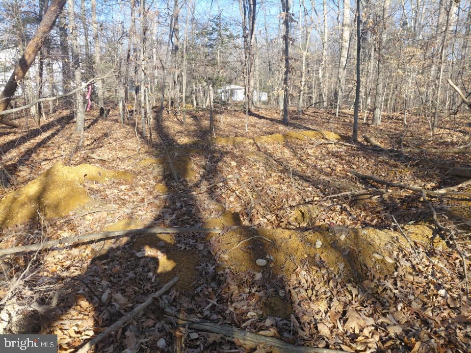 ANNAPOLIS WOODS - Land