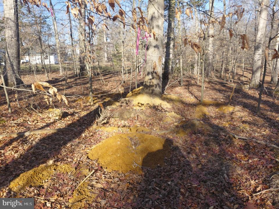 ANNAPOLIS WOODS - Land