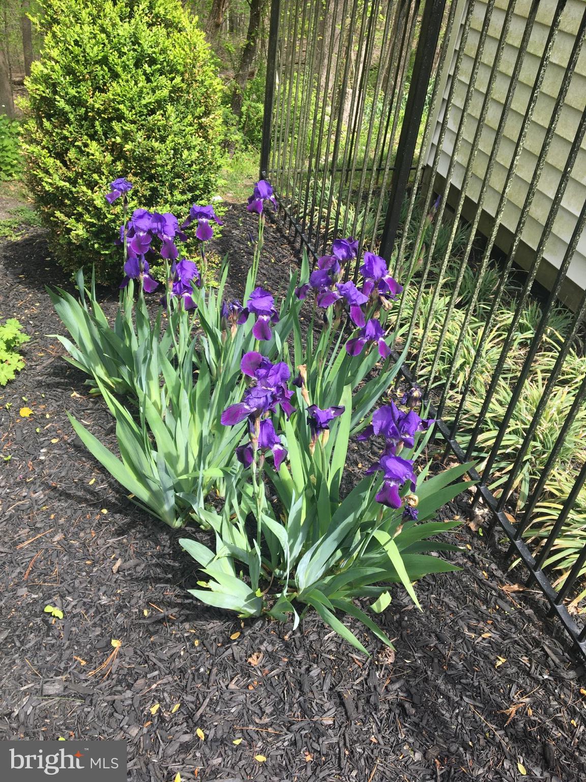 GOVERNORS RUN - Residential