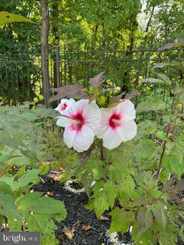 GOVERNORS RUN - Residential