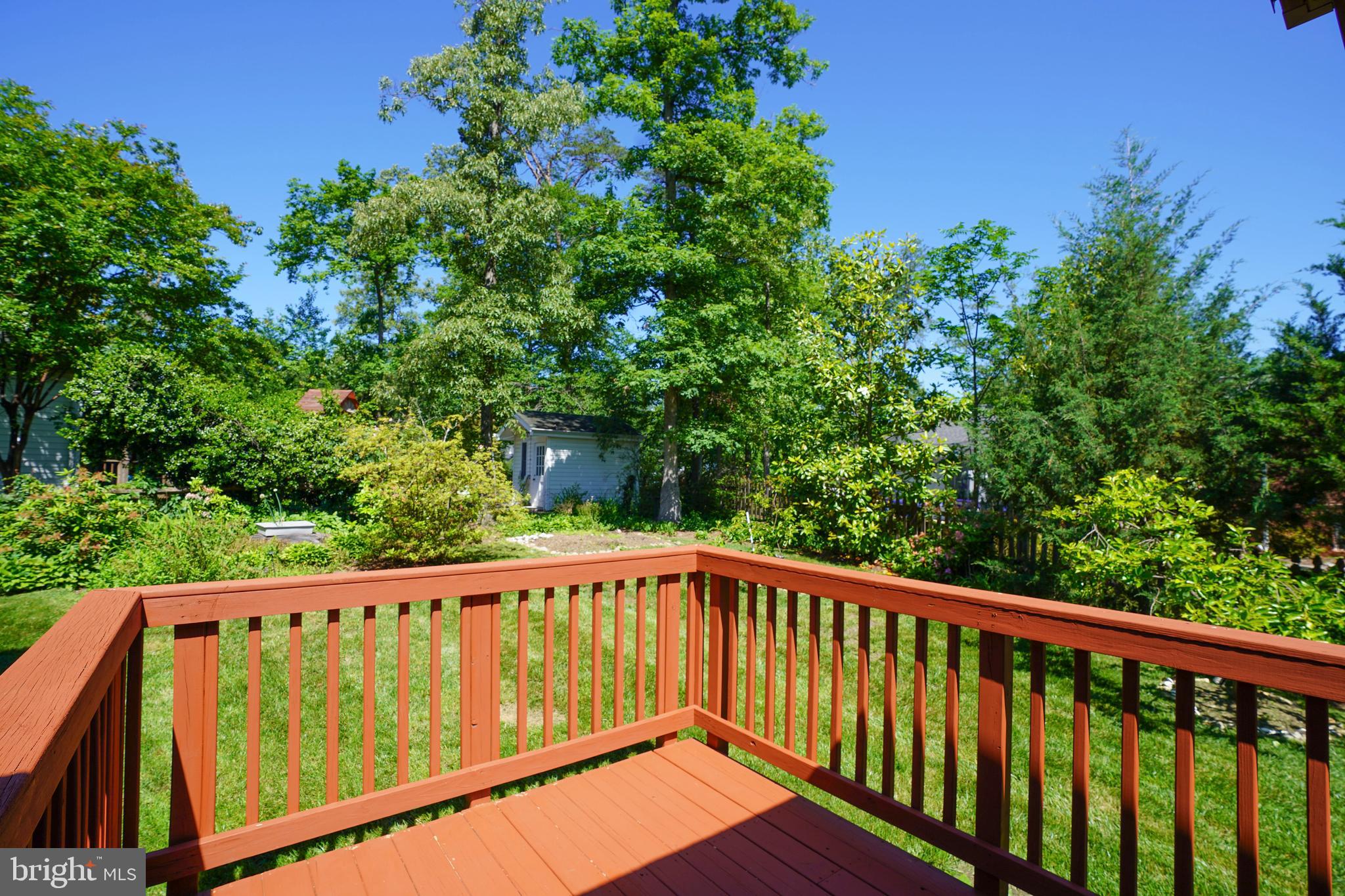 CARDINAL FOREST - Residential