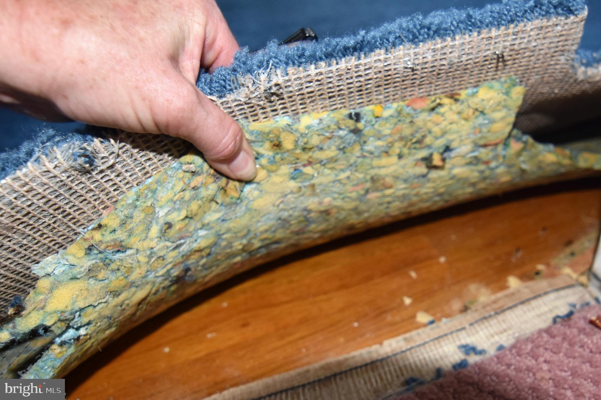 LAURELTON - Residential