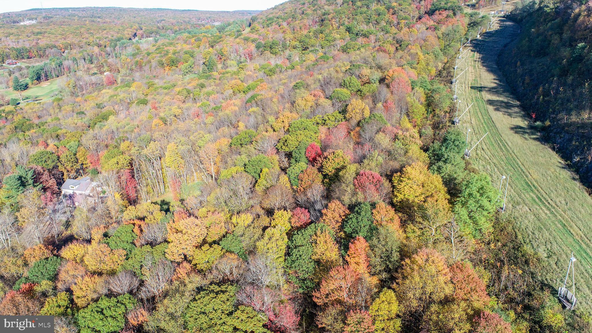 HOYES RUN - Residential