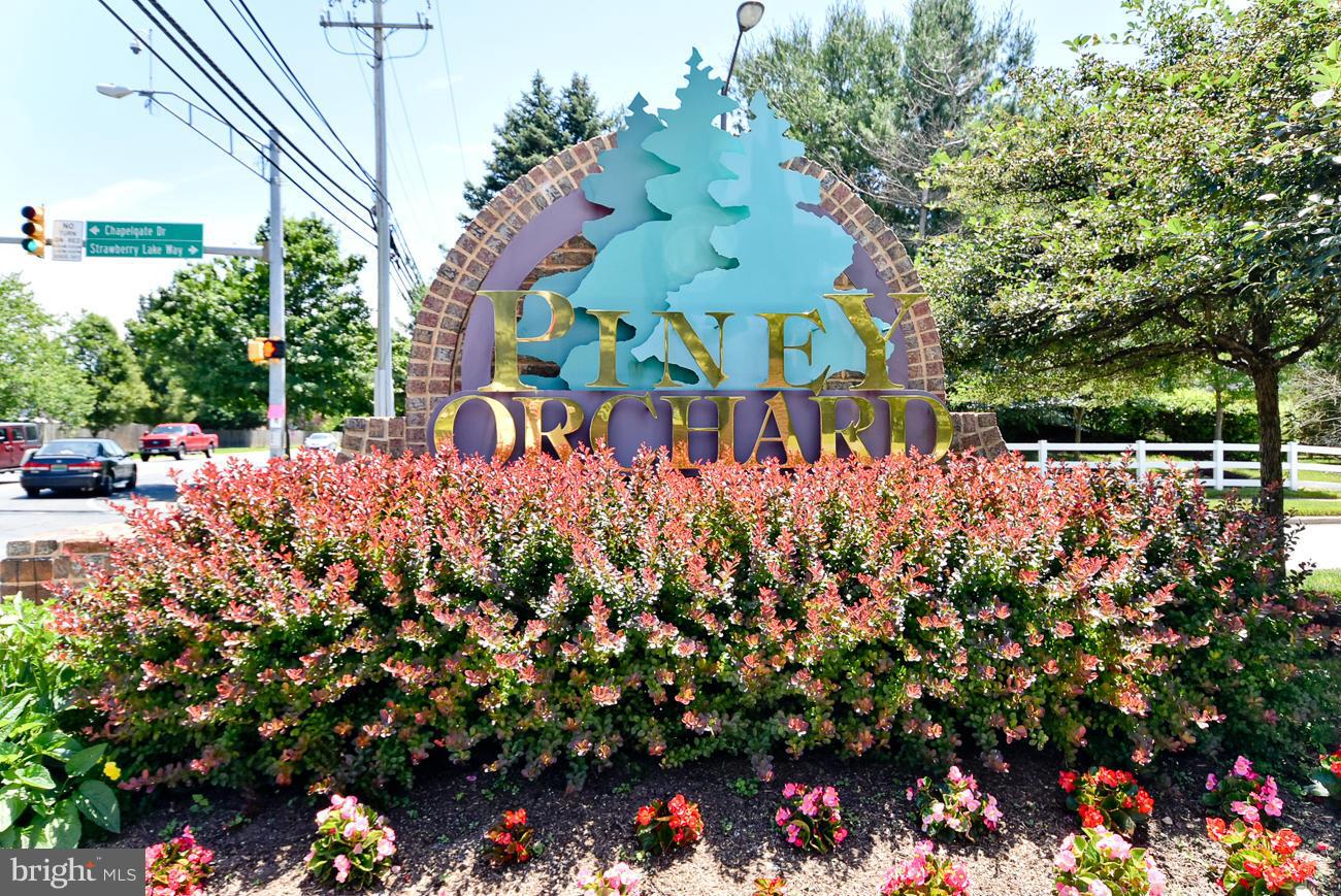 PINEY ORCHARD - Residential