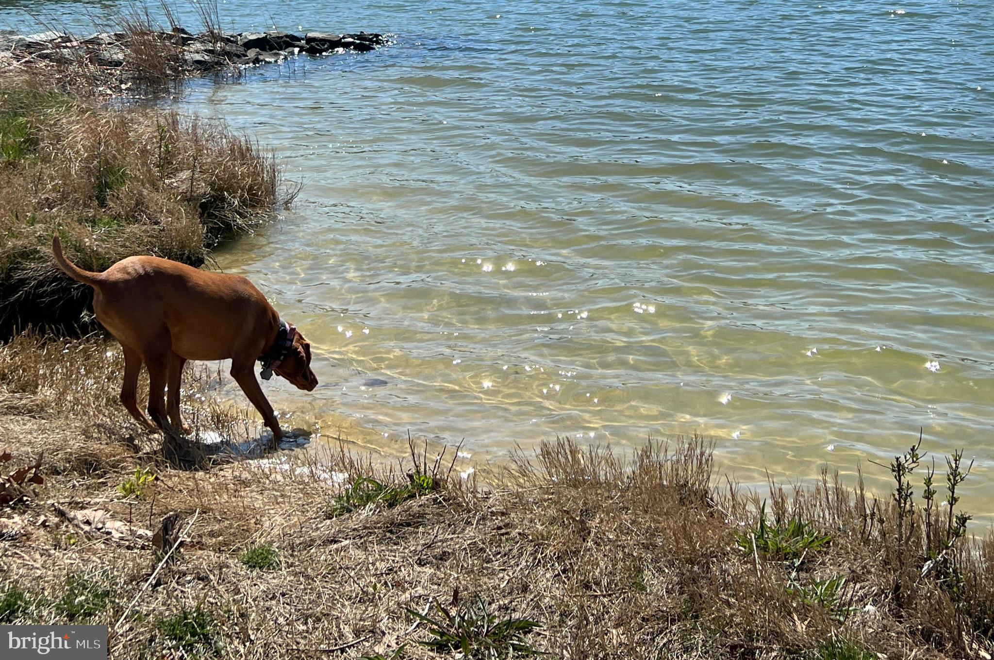 EASTON - Residential