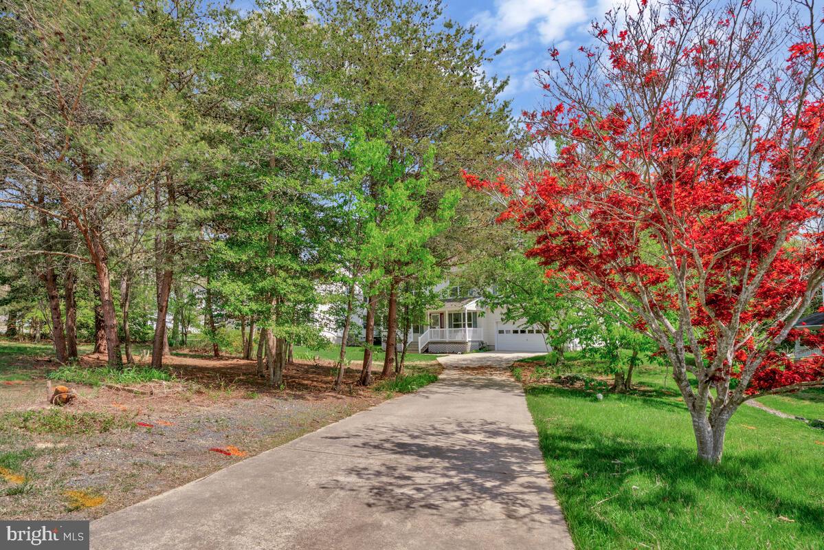 20880 ARK COURT