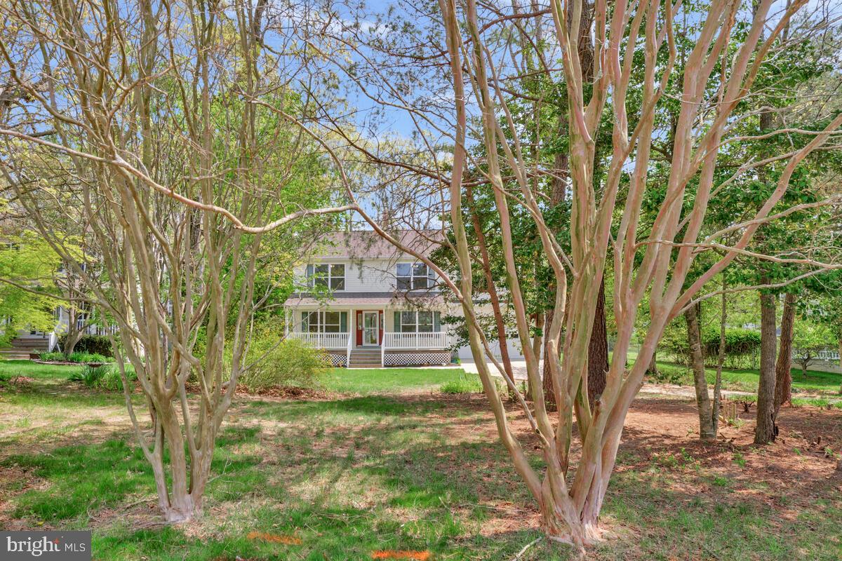 20880 ARK COURT