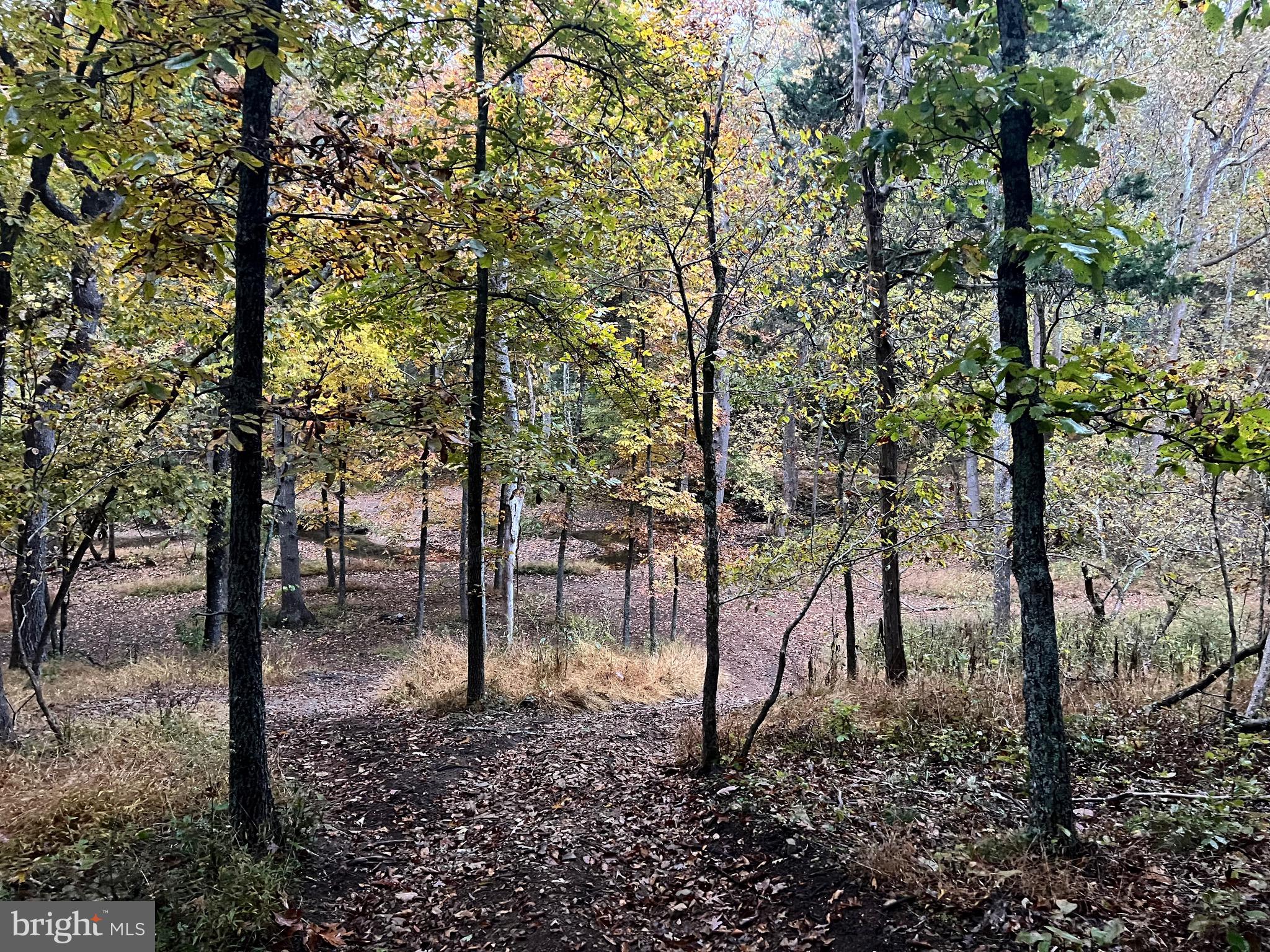 Lot 23 OAK HILL COURT